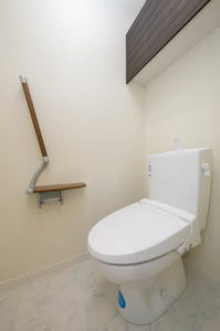 メゾン・フローラⅡ 0103号-5