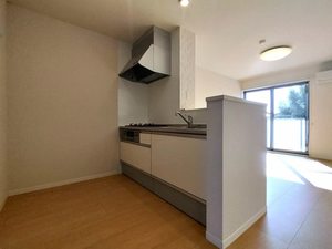 Ｓｈａ　Ｍａｉｓｏｎ　Ｒｅｐｏｓｅｒ 0201号-6