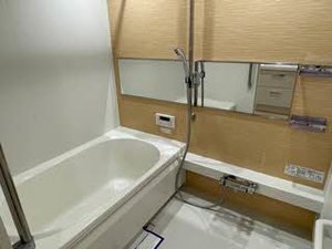 ＳｈａＭａｉｓｏｎ　Ｔｅｚｕｋａｙａｍａ　Ｗｅｓｔ 0102号-5