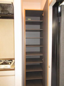 ＥＶＥＲ　ＧＲＥＥＮ 0101号-12