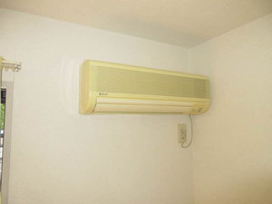 ＥＶＥＲ　ＧＲＥＥＮ 0101号-13