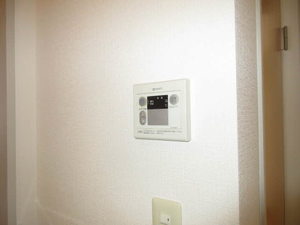 ＥＶＥＲ　ＧＲＥＥＮ 0101号-15