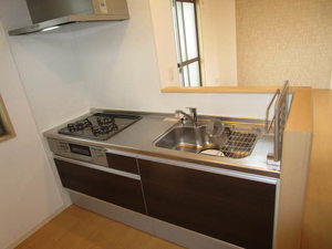 Ｓｈａｍａｉｓｏｎ　Ｃｙｇｎｕｓ 0201号-3