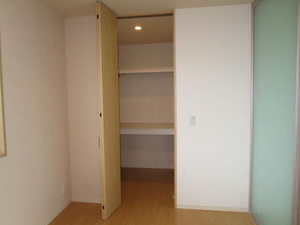 Ｓｈａｍａｉｓｏｎ　Ｃｙｇｎｕｓ 0201号-5