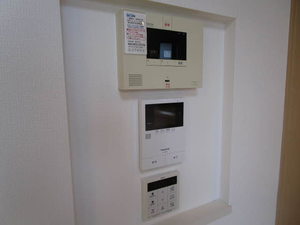 Ｓｈａｍａｉｓｏｎ　Ｃｙｇｎｕｓ 0201号-9