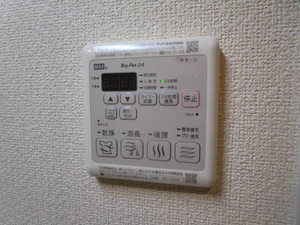 Ｓｈａｍａｉｓｏｎ　Ｃｙｇｎｕｓ 0201号-10