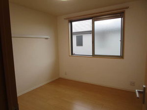 Ｓｈａｍａｉｓｏｎ　Ｃｙｇｎｕｓ 0201号-11