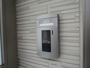 Ｓｈａｍａｉｓｏｎ　Ｃｙｇｎｕｓ 0201号-12