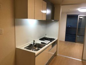 シャーメゾン和Ⅱ 0101号-3