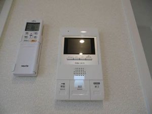 シャーメゾンヒメコウライグリーン 0201号-9