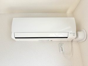 シャーメゾンヒメコウライグリーン 0201号-14