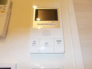 シャーメゾンヒメコウライグリーン 0205号-13