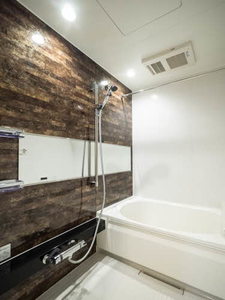 フェリシテ 0101号-6