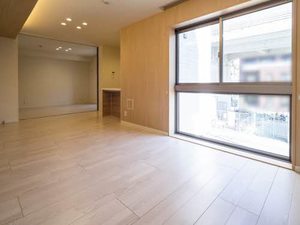 フェリシテ 0201号-4
