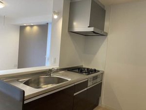 ウエスト　ヴィレッジⅨ B208号-8