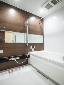 ＳｈａＭａｉｓｏｎ　Ｃｌａｉｒ 0201号-8