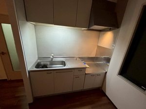 コート ジュネス 0103号-7