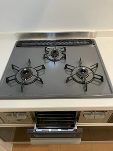 シャーメゾン宇治木幡 0202号-4