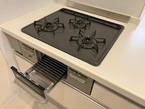 ガーネフリューゲル　やじえもん 0103号-12