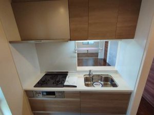 ガーネフリューゲル　やじえもん 0201号-4