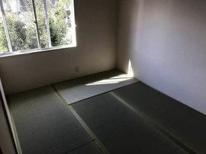 ジュネス　ディオ 0203号-8