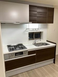 Ｓｈａｍａｉｓｏｎ　呉春 0303号-5