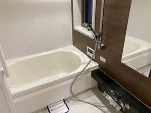 Ｓｈａｍａｉｓｏｎ　呉春 0303号-6