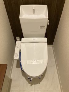 Ｓｈａｍａｉｓｏｎ　呉春 0303号-7