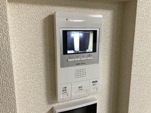 Ｓｈａｍａｉｓｏｎ　呉春 0303号-11