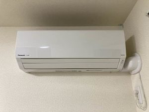 Ｓｈａｍａｉｓｏｎ　呉春 0303号-12