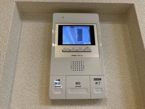 Ｓａｎ　Ｆｅｌｉｃｅ 0305号-10