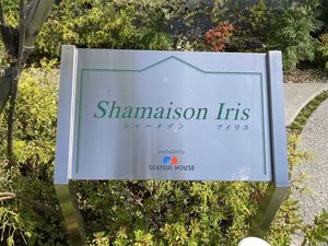 シャーメゾン　アイリス 0205号-2