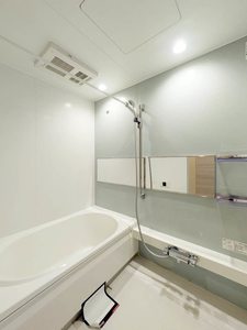 ＣＯＲＴ青山Ⅱ 0102号-9