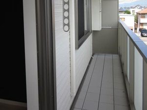 シャーメゾン向日葵 0303号-11