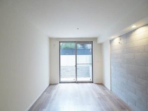 Ｓｈａｍａｉｓｏｎ　ａｉｌｅ　ｆｕｒｏｒｅ 0101号-2