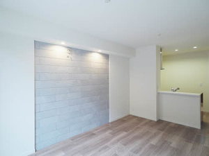 Ｓｈａｍａｉｓｏｎ　ａｉｌｅ　ｆｕｒｏｒｅ 0101号-3