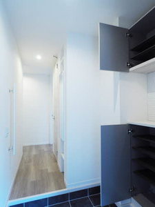 Ｓｈａｍａｉｓｏｎ　ａｉｌｅ　ｆｕｒｏｒｅ 0101号-4