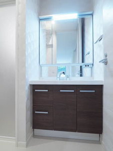 Ｓｈａｍａｉｓｏｎ　ａｉｌｅ　ｆｕｒｏｒｅ 0101号-6