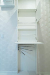 Ｓｈａｍａｉｓｏｎ　ａｉｌｅ　ｆｕｒｏｒｅ 0101号-11