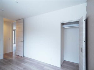 Ｓｈａｍａｉｓｏｎ　ａｉｌｅ　ｆｕｒｏｒｅ 0101号-13