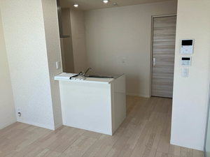 ベレオ和歌山駅東 0301号-3