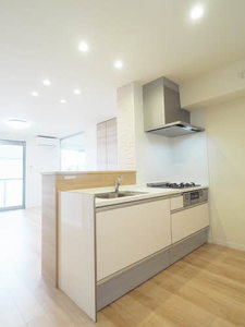 ラフィーネ 0202号-8