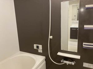 ＤＡＩＮＡＫ　Ｔ 0102号-5