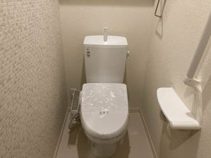 ＤＡＩＮＡＫ　Ｔ 0102号-6