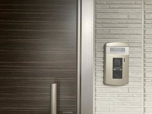 ＤＡＩＮＡＫ　Ｔ 0102号-12