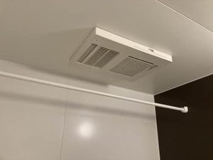 ＤＡＩＮＡＫ　Ｔ 0102号-13