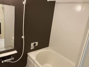 ＤＡＩＮＡＫ　Ｔ 0103号-3