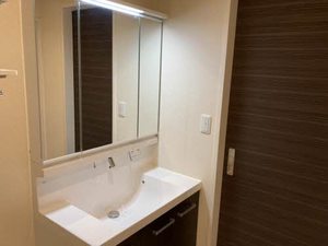 ＤＡＩＮＡＫ　Ｔ 0103号-4