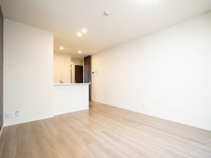 ＤＡＩＮＡＫ　Ｔ 0105号-11