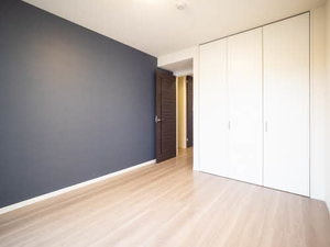 ＤＡＩＮＡＫ　Ｔ 0105号-13